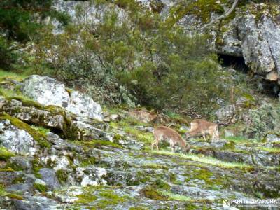 Puerto,Chorro Navafría; ruta cuerda larga mondalindo mirador de la sierra parque peneda geres